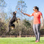 Chuckit! Fetch & Fold Launcher Mini