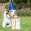 Chuckit! Birthday Fetch Ball M
