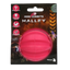 Dog Comets Halley Rosa