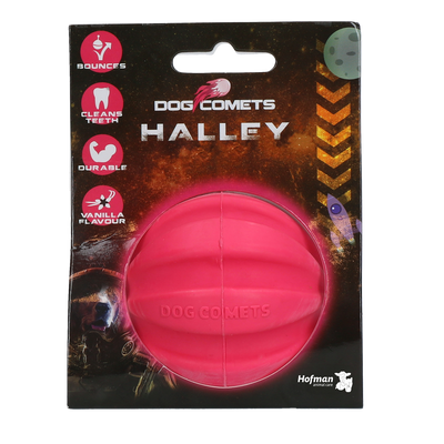 Dog Comets Halley Rosa