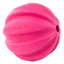 Dog Comets Halley Rosa