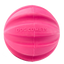 Dog Comets Halley Rosa