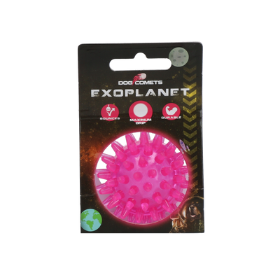 Dog Comets Exoplanet Igelball S Rosa