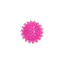 Dog Comets Exoplanet Igelball S Rosa