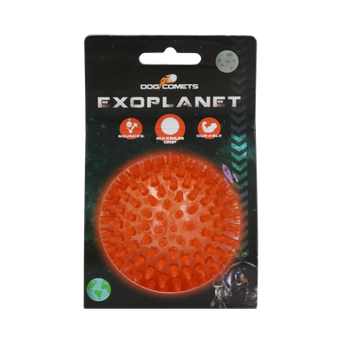 Dog Comets Exoplanet Igelball M Orange