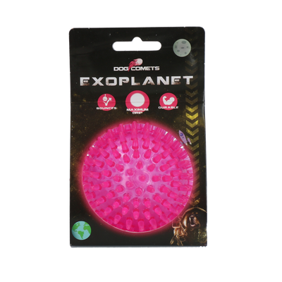 Dog Comets Exoplanet Igelball M Rosa