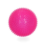 Dog Comets Exoplanet Igelball L Rosa