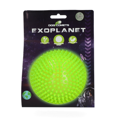 Dog Comets Exoplanet Igelball L Grün