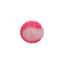 Dog Comets Glow In The Dark Moon Ball S Rosa