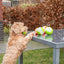 Dog Comets Glow In The Dark Moon Ball S Rosa