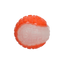 Dog Comets Glow In The Dark Moon Ball M Orange