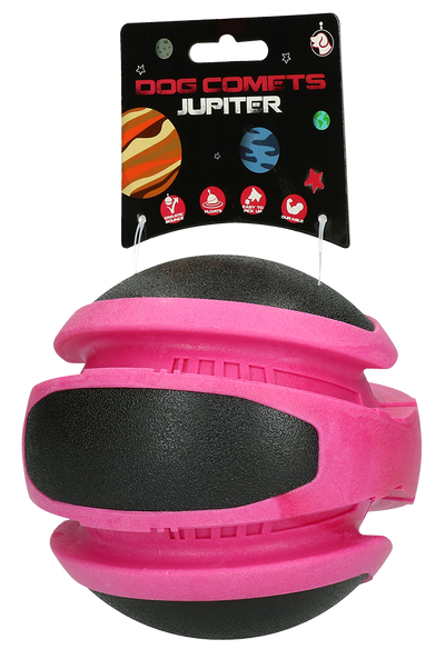 Dog Comets Planets Rosa