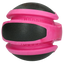 Dog Comets Planets Rosa