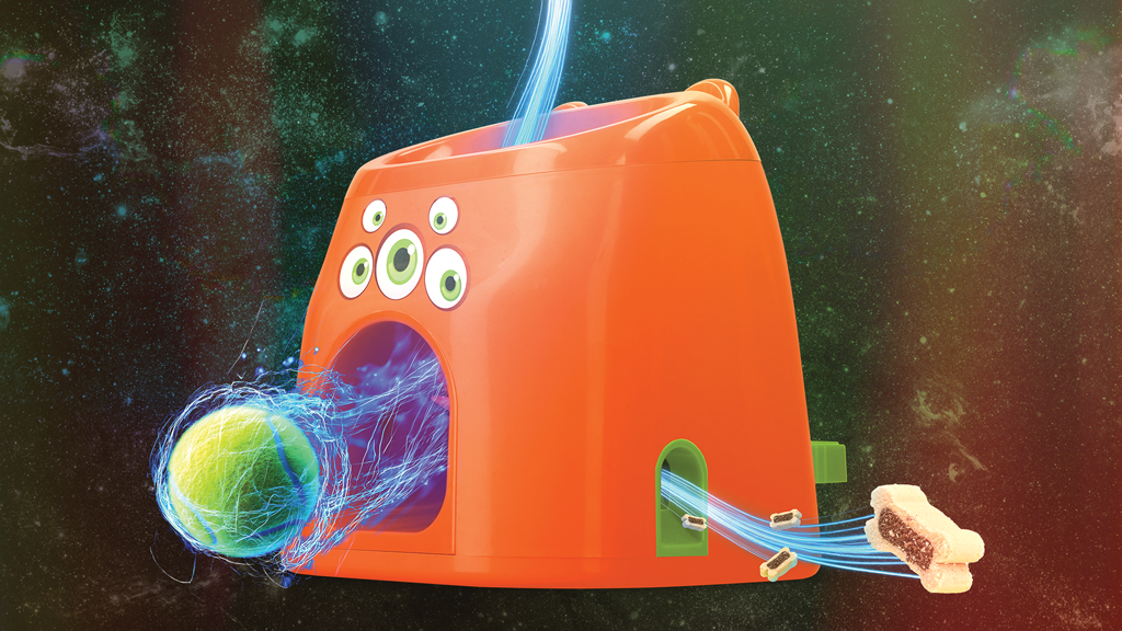 Dog Comets D1spencer Fetch and Treat