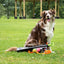 Dog Comets Comet Launcher
