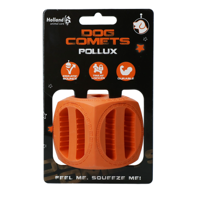 Dog Comets Pollux Orange