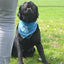 CoolPets Cooling Bandana S