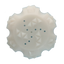 Coolpets Ice Ball