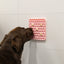 Eat Slow Live Longer Lick Mat Honeycomb Rosa