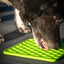 Eat Slow Live Longer Lick Mat Honeycomb Grün