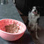 Eat Slow Live Longer Lick Mat Wobble Bowl Rosa