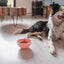 Eat Slow Live Longer Lick Mat Wobble Bowl Rosa