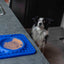 Eat Slow Live Longer Lick Mat Wave Blau