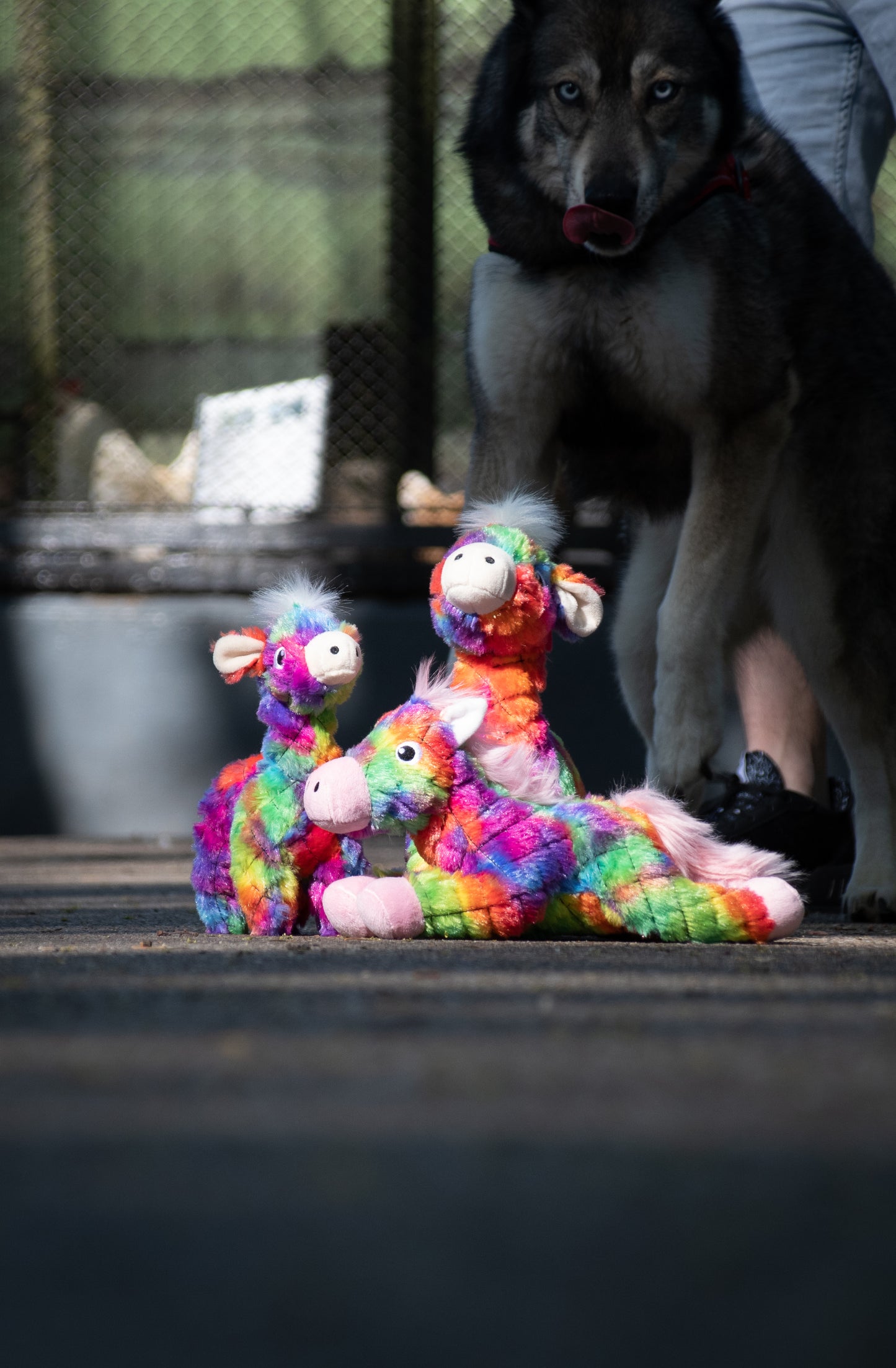 FantaZoo Horse - L
