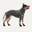 Goo-eez Dog Boots Ultras 2 Per Pack XXS Schwarz