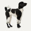 Goo-eez Dog Boots Lites 4 Per Pack XXS Camo/Schwarz