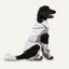 Goo-eez Kangaroo Fleece Hoodie XXS Grau