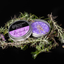 Groomers Secret Shampoo Bar Lavendel