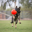 Jolly Soccer Ball Orange S (15 cm)