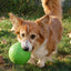 Jolly Soccer Ball Grün S (15 cm)