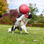 Jolly Tug-n-Toss Rot M (15 cm)