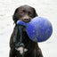 Jolly Tug-n-Toss Blau M (15 cm)