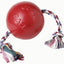 Jolly Romp-n-Roll Rot S (11 cm)