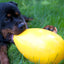 Jolly Egg Gelb S (20 cm)