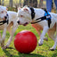 Jolly Push-n-Play Rot XL (35 cm)