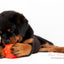 Jolly Jumper Orange S (7,6 cm)