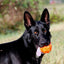 Jolly Jumper Orange S (7,6 cm)