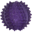 JW Puppy - Bristl-ee Cactus Ball