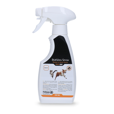 Knock Pest Bleibweg Spray für innen