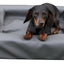 Lounge Hundebett S - 50 x 60 cm