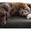 Lounge Hundebett S - 50 x 60 cm