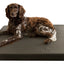 HD Dog Bed S