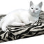 HD Cat Bed Zebra 45x55cm