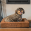 Let's Sleep Comfy Cushion Hundekorb XL Cognac