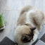 Let's sleep Pet Cube Helles/Dunkelgrau
