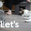 Let's sleep Pet Cube Helles/Dunkelgrau
